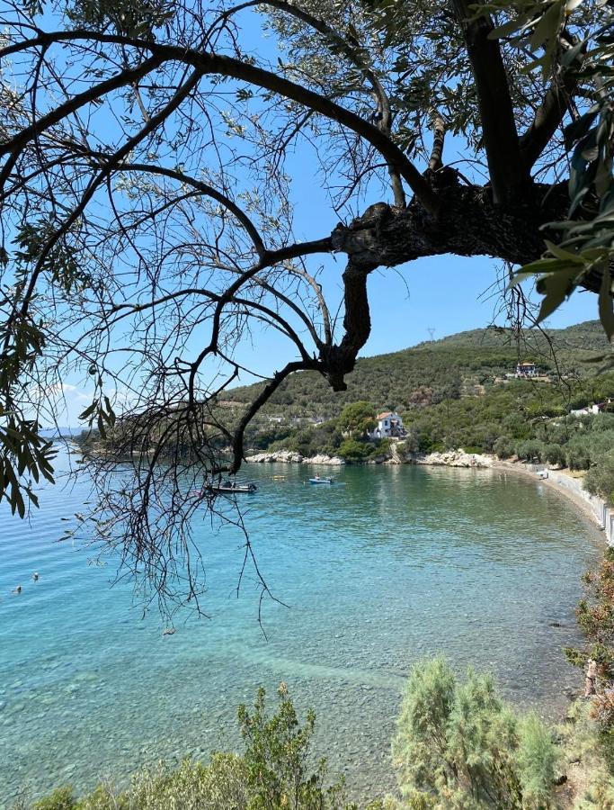 فيلا Sunset Of Pelion كاتو جاتزي المظهر الخارجي الصورة